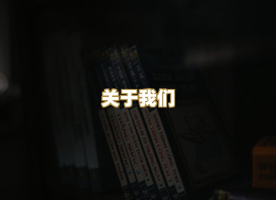 关于我们